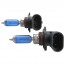 H10 Xenon Look Lampen Set