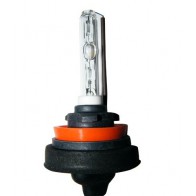 Xenon H9 Lamp