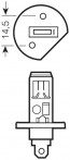 Osram H1 Halogeen Lamp (61450)