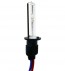 Xenon H1 Lamp