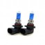 H10 Xenon Look Lampen Set