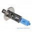 H1 Xenon Look Lampen Set